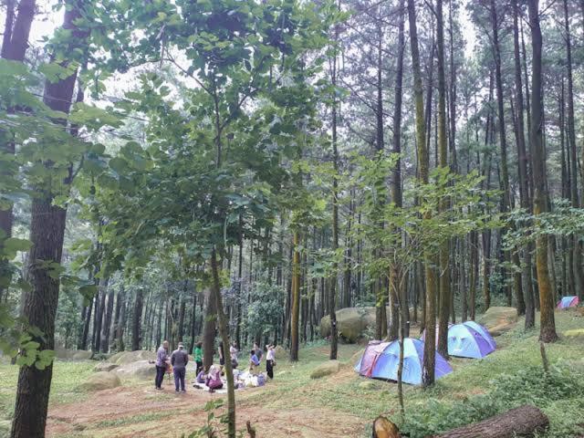 Tapian Ratu Camp Real Bukittinggi Eksteriør billede